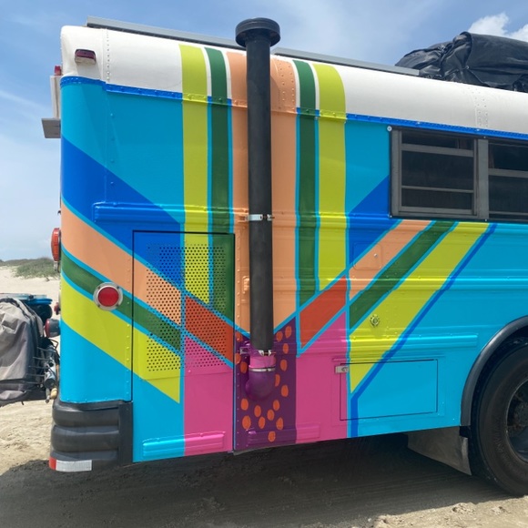 Meet your Posher, Virginia olivia - Picture 3 of 4